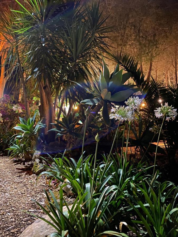 Villa Rosemary مارسالا المظهر الخارجي الصورة