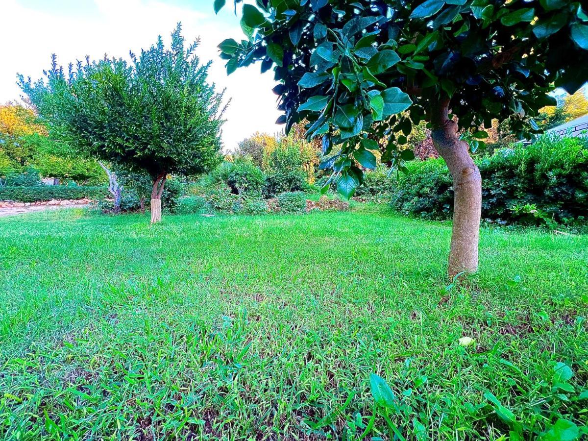 Villa Rosemary مارسالا المظهر الخارجي الصورة