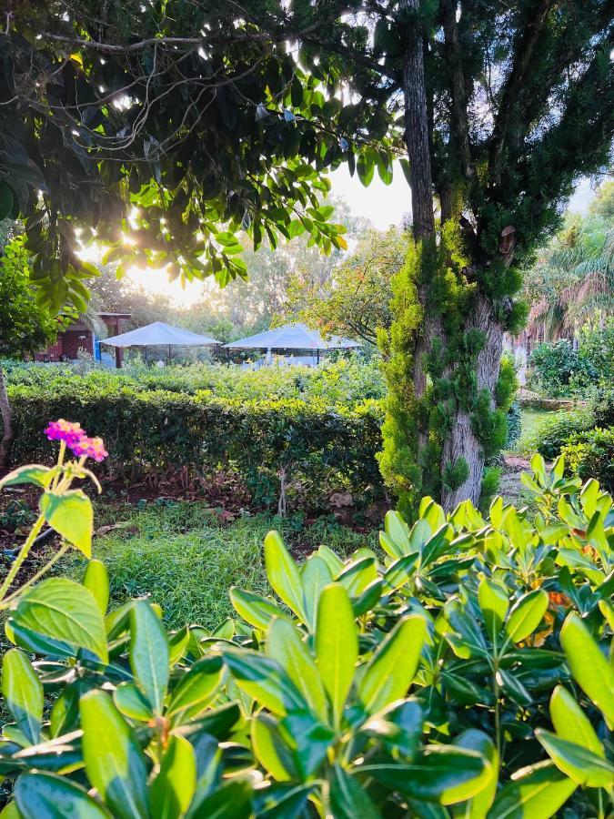 Villa Rosemary مارسالا المظهر الخارجي الصورة